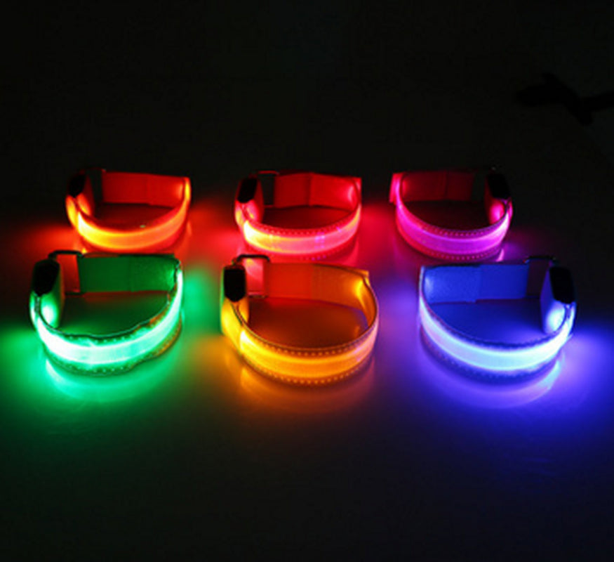 Safety Dog LED Collar